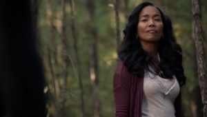 Дневники вампира 2 сезон 9 серия